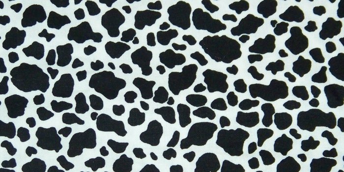 2048x2048 Free download Wallpapers For Cow Print Wallpaper Iphone iPad Wallpaper  Gallery [2048x2048] for your Desktop, Mobile & Tablet | Explore 49+ Cow  Print Wallpaper | Dairy Cow Wallpaper, Cow Pattern Wallpaper, Cow