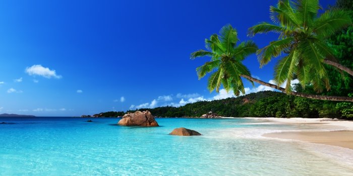 1920x1200 Tropical Island Computer Wallpapers Desktop Backgrounds - Jamaica Beach -  1920x1200 Wallpaper - teahub.io