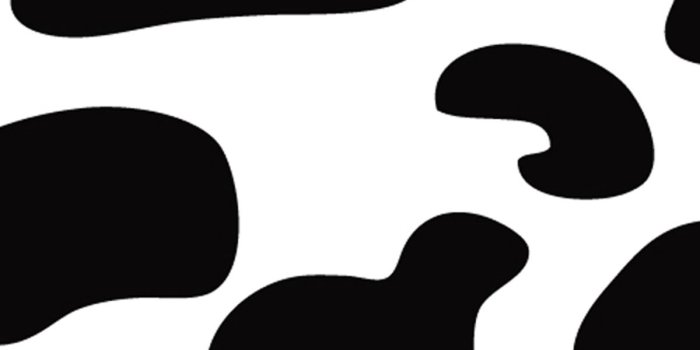 1200x1920 Cow Print Wallpapers - Top Free Cow Print Backgrounds - WallpaperAccess