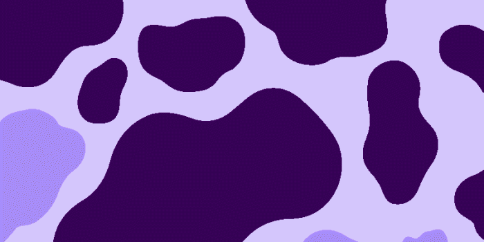 800x1200 Cute iPhone Cow Print Wallpapers - Ideas to Draw