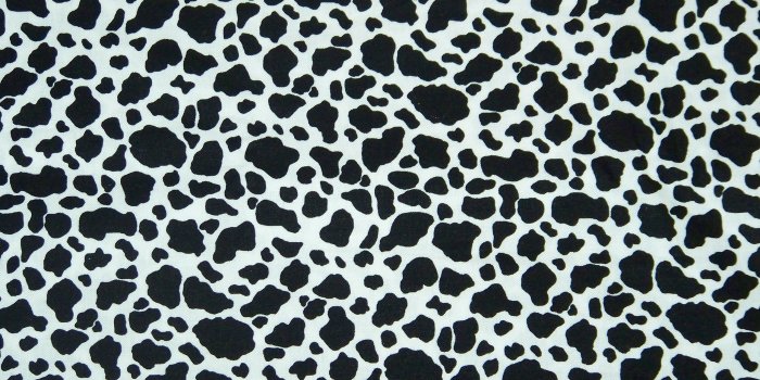 2560x1440 Black And White Cow Print 9 HD Cow Print Wallpapers | HD Wallpapers | ID  #37569