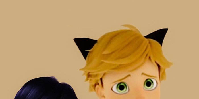 1284x2778 miraculous tales of ladybug cat noir iPhone Wallpapers Free Download