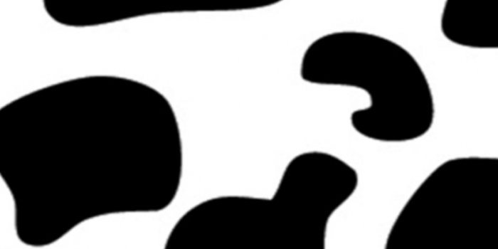 750x1334 Cow Aesthetic Wallpapers posted by John Tremblay