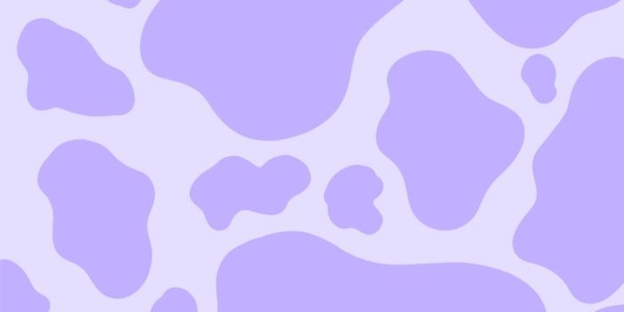 720x1200 Purple Cow Print | Black and purple wallpaper, Cow print wallpaper, Cow  wallpaper