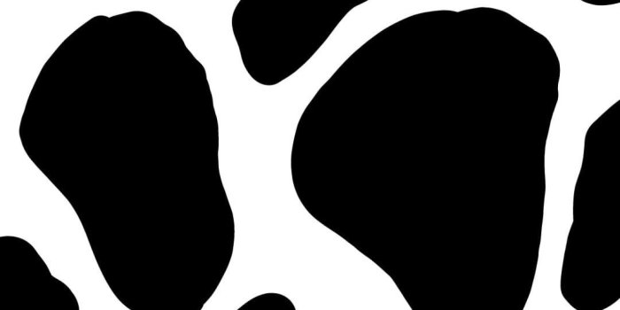 1440x2560 Wallpaper Cow Print, Aesthetic, Cute • Wallpaper For You