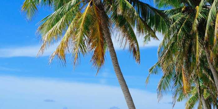 2050x3087 10,000+ Best Island Photos · 100% Free Download · Pexels Stock Photos