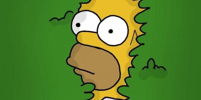 715x1271 Homer Simpson Wallpaper - Wallpaper Sun