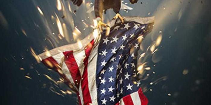 794x1112 American Flag Background | WhatsPaper