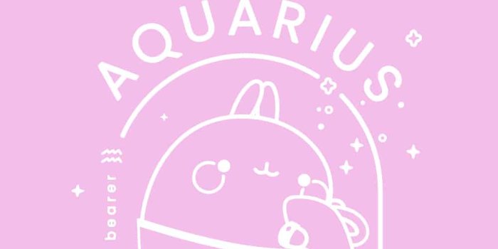 1001x1780 Molang Zodiac - Wallpaper Mobile Aquarius | Molang Official Website