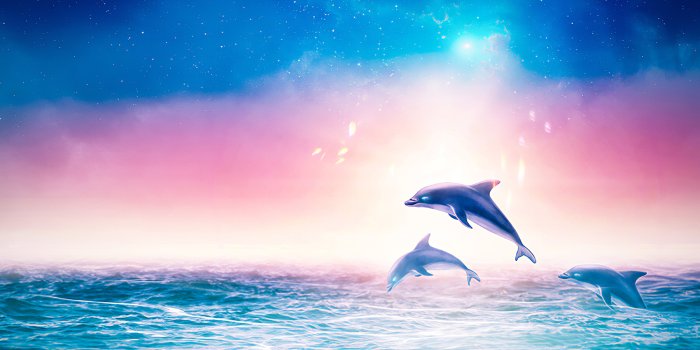 3000x1688 Dolphins Digital Art 4k, HD Artist, 4k Wallpapers, Images, Backgrounds,  Photos and Pictures