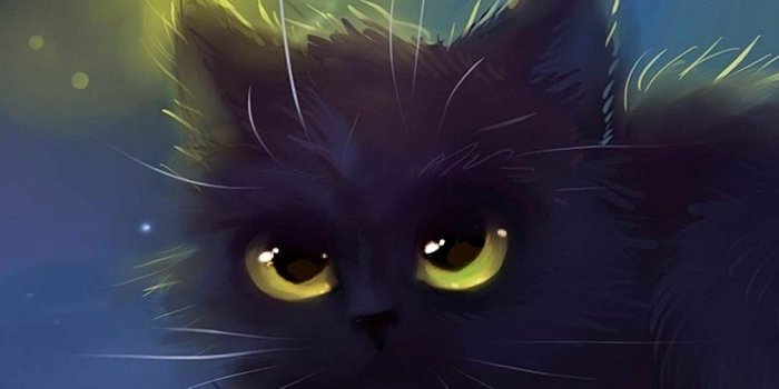 1536x2048 58+ Cat Wallpapers: HD, 4K, 5K for PC and Mobile | Download free images for  iPhone, Android