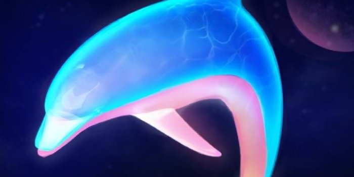 745x1280 Download Dolphin Grow Wallpaper by Nevertryneverknow - 3d - Free on ZEDGE™  now. Browse millions of popular fish Wallpa… | Dolphin art, Dolphins, Ocean  creatures art