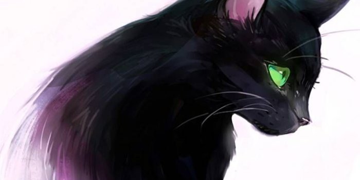 720x1280 Download Cat Wallpaper by Zomka - 87 - Free on ZEDGE™ now. Browse millions  of popular black Wallpapers … | Warrior cats art, Black cat drawing, Cute  animal drawings