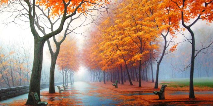 2181x1508 18600+ Photography HD Wallpapers and Backgrounds