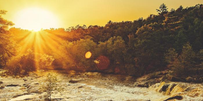 3007x4511 HD Wallpapers · Pexels