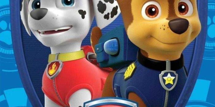 989x1280 4K Paw Patrol Wallpaper | WhatsPaper