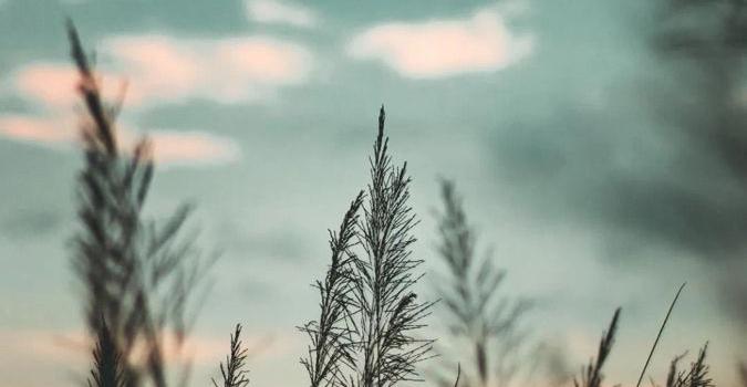 675x1200 660 Wallpapers ideas in 2022 | iphone wallpaper, phone wallpaper, wallpaper  backgrounds