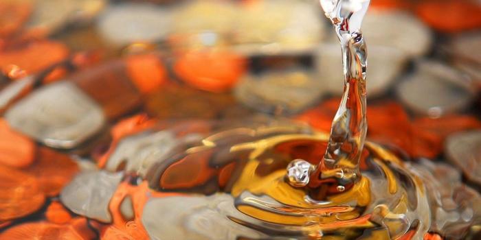 1600x1200 Photography Wallpapers