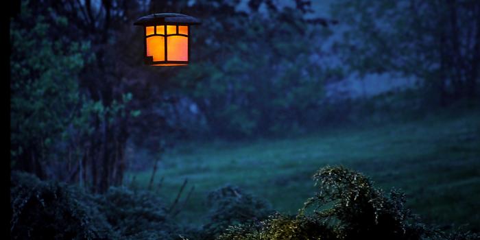 3786x2437 100,000+ Best Windows 10 Wallpaper Photos · 100% Free Download · Pexels  Stock Photos