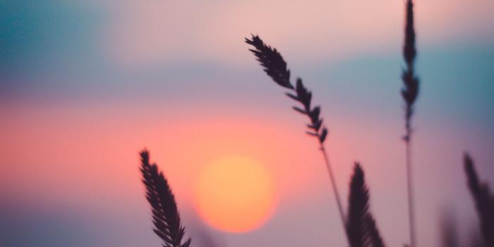 1000x1510 20+ Sunset Images [Stunning!] | Download Free Images on Unsplash