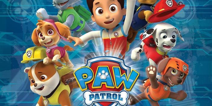 1000x798 Paw Patrol Wallpapers - Top Free Paw Patrol Backgrounds - WallpaperAccess | Paw  wallpaper, Paw patrol birthday, Cross paintings