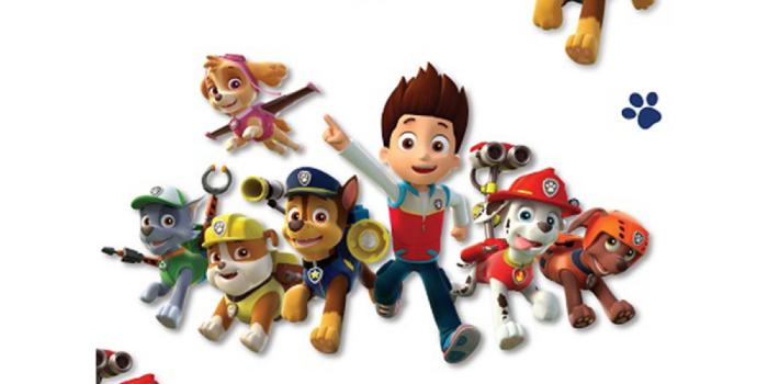 1200x1200 Paw Patrol Wallpaper | Kids | Bedroom | Decor