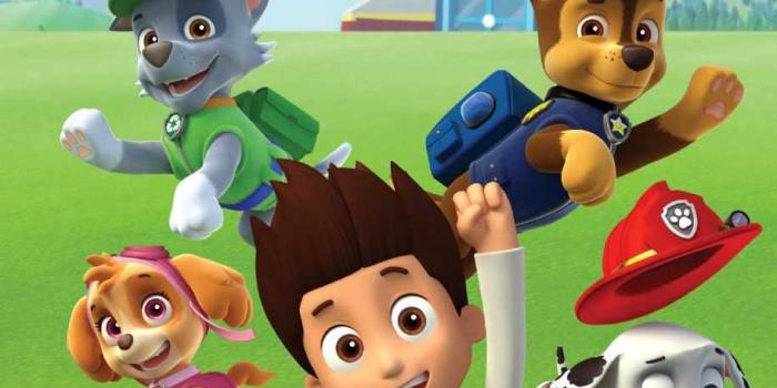 915x2048 Paw Patrol Background | WhatsPaper