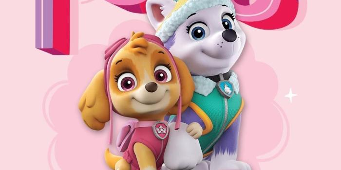 1080x1080 Skye Paw Patrol Wallpapers - Top Free Skye Paw Patrol Backgrounds -  WallpaperAccess