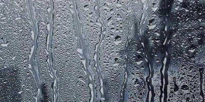 1080x1920 Rain Wallpapers - Top 35 Best Rain Backgrounds Download