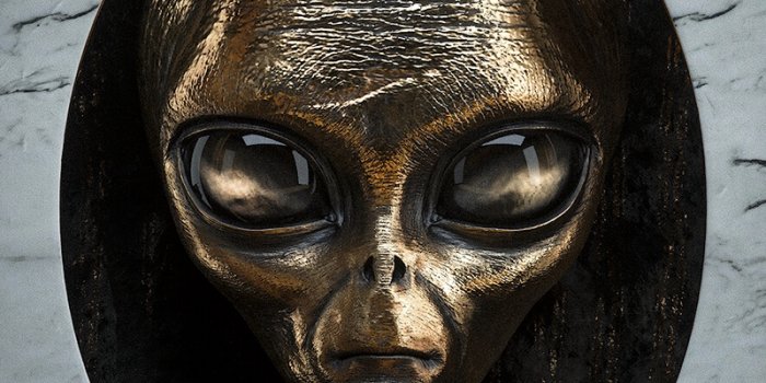 800x1420 Wallpaper Alien, Head, Metal, Portrait, 3d - Alien Grey Wallpaper Iphone -  800x1420 Wallpaper - teahub.io