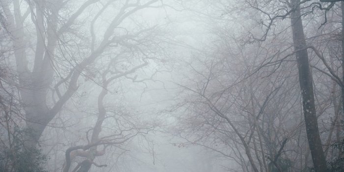 1000x1502 500+ Mist Pictures [HD] | Download Free Images on Unsplash