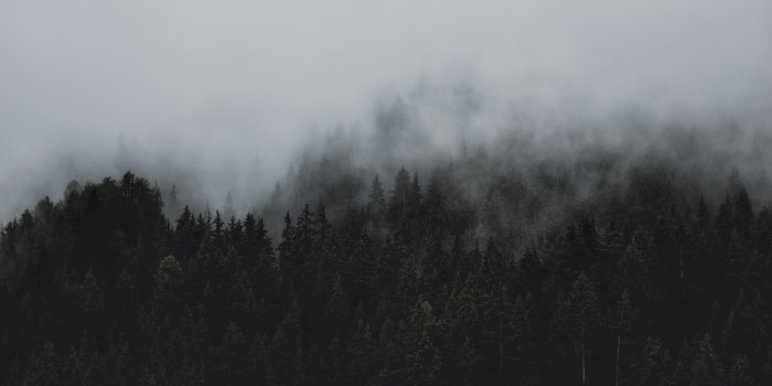 3648x2432 20,000+ Best Fog Photos · 100% Free Download · Pexels Stock Photos