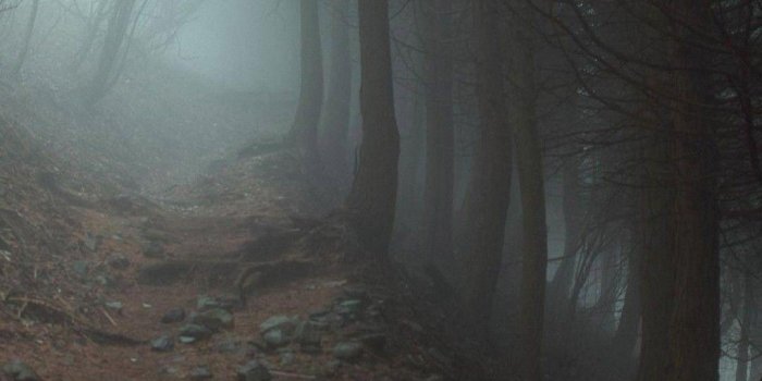 1080x1920 Fog Wallpapers