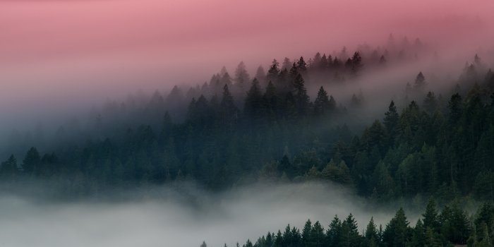 8255x5347 380+ 4K Fog Wallpapers | Background Images