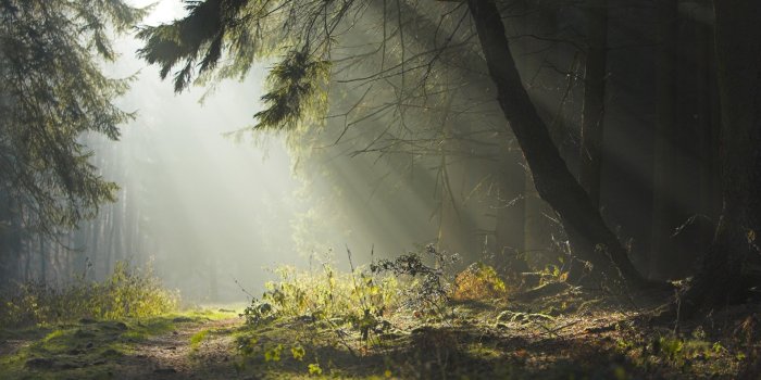 1920x1200 790+ Fog HD Wallpapers and Backgrounds