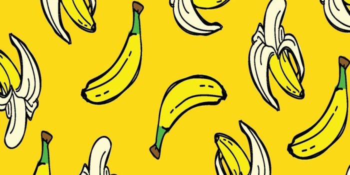 907x1360 Recipe Journal: Write In Blank Cookbook With Banana Pattern Wallpaper:  Shamrock Logbook: 9781090290731: Books - Amazon