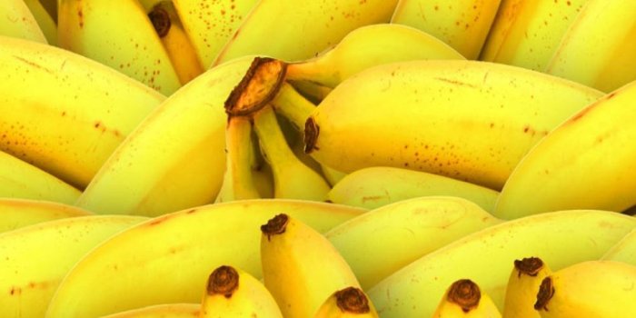 950x1520 Bananas 4K Ultra HD Mobile Wallpaper