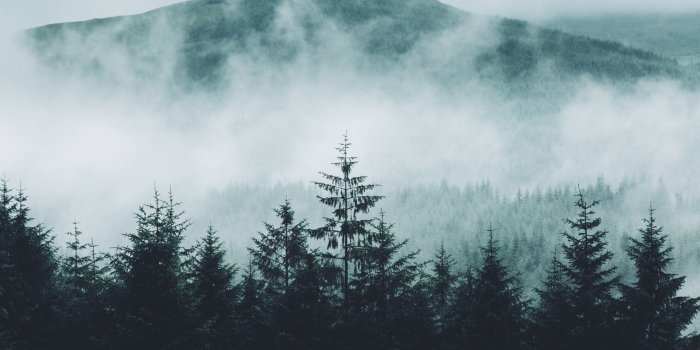 1920x1080 28 Mountains and Forest in Fog Wallpapers - Wallpaperboat
