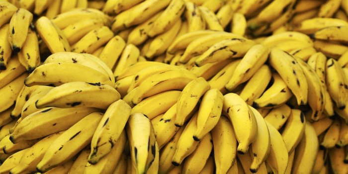 1920x1200 Banana HD Wallpaper | Background Image | 1920x1200