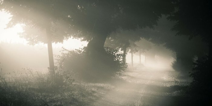 1600x1000 46+] Fog Wallpaper on WallpaperSafari