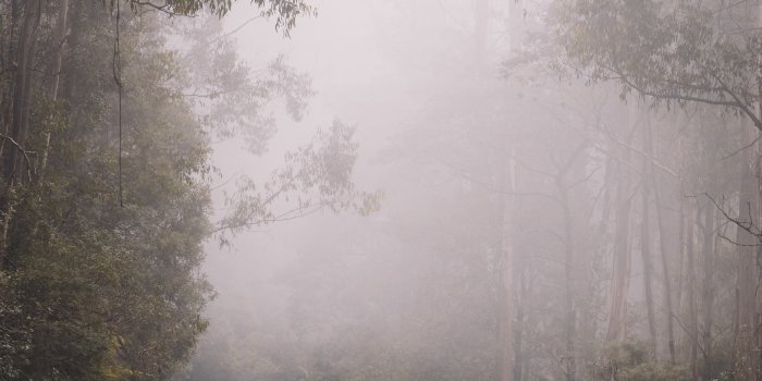 4480x6720 20,000+ Best Fog Photos · 100% Free Download · Pexels Stock Photos