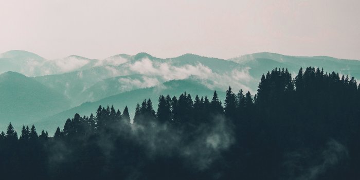 2560x1600 nd58-mountain-fog-nature-view-wood-forest-blue-wallpaper