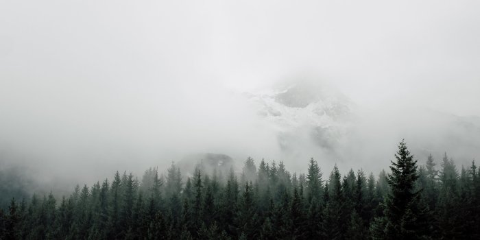 2560x1600 1000+ Best Fog Mac Wallpapers Free HD Download - AllMacWallpaper
