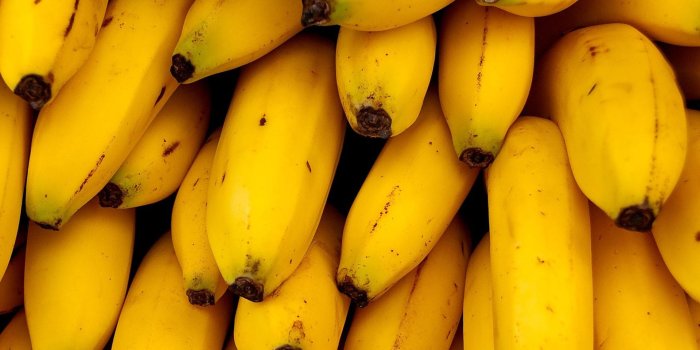 1920x1200 Banana Widescreen Wallpapers - Banana Background High Resolution -  1920x1200 Wallpaper - teahub.io