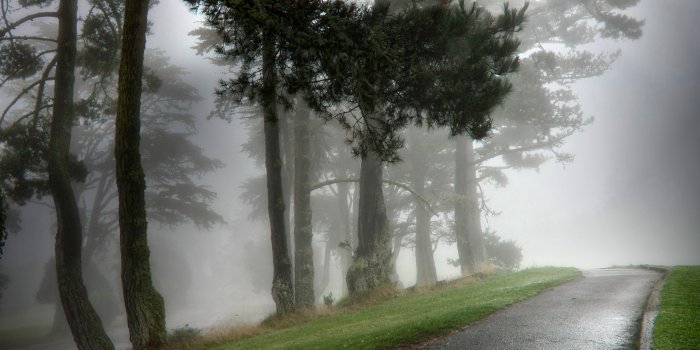 1920x1200 Fog Wallpapers HD - PixelsTalk.Net