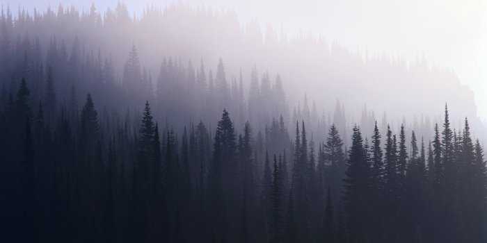 1920x1080 Mist Wallpapers