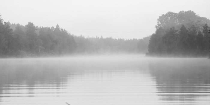 1024x768 Fog 4K wallpapers for your desktop or mobile screen free and easy to  download