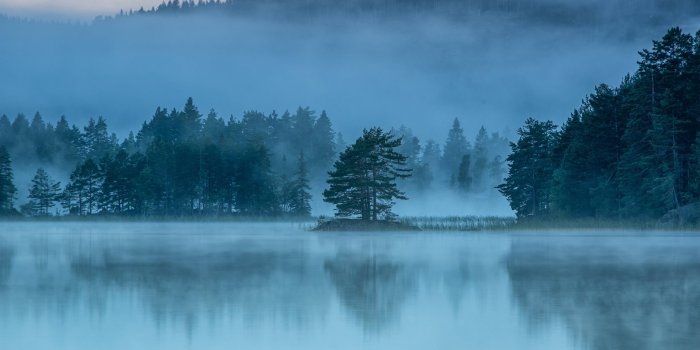 3840x2554 Fog Reflection 4K Wallpaper, HD Nature 4K Wallpapers, Images, Photos and  Background - Wallpapers Den