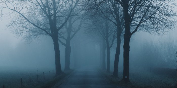 1332x850 Photo Wallpaper Road, Trees, Nature, Landscapes, Fog, - Fog - 1332x850  Wallpaper - teahub.io
