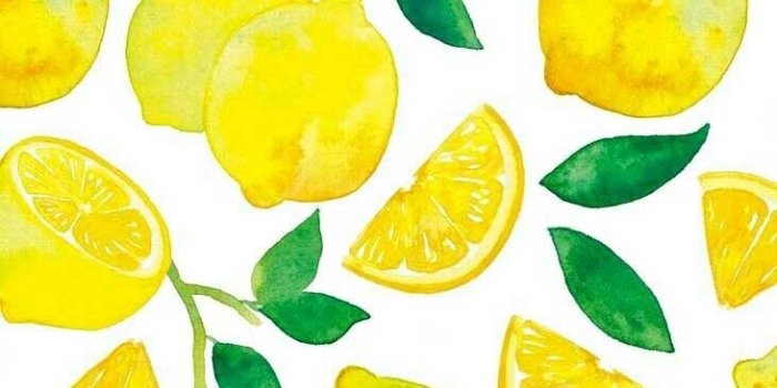 731x1309 Lemon - so summery - Idea Wallpapers , iPhone Wallpapers,Color Schemes